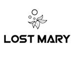 LOST MARY